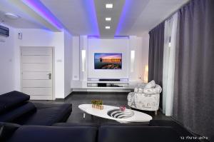 a living room with a couch and a tv at מקום טוב באמצע במושבת כנרת in Kinneret