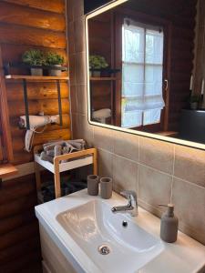 ein Badezimmer mit Waschbecken und Spiegel in der Unterkunft Westerwald Lodge in Stahlhofen + 15 Fotos
