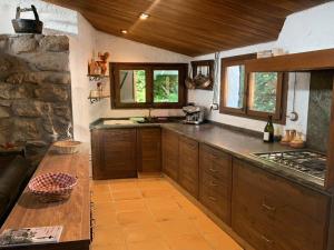 a kitchen with wooden cabinets and a counter top at Cal Catiu in Caserras