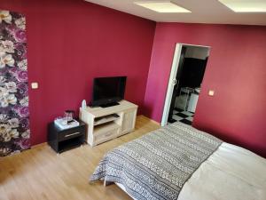 a bedroom with pink walls and a bed and a tv at Dwór Złoty Bażant in Olsztyn