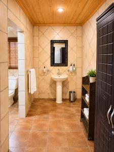 a bathroom with a sink and a mirror at Linglela Lodge in Estcourt +45 photos
