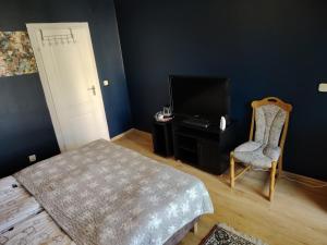 a bedroom with a bed and a chair and a television at Dwór Złoty Bażant in Olsztyn +32 photos