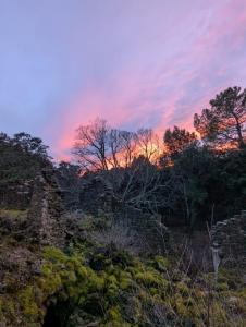 a sunset over a field with trees in the background at Grignan Glamping 2 -4 people exceptional view in Réauville