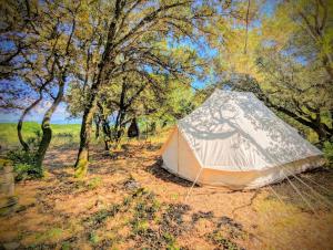a tent in the middle of a field with trees at Grignan Glamping 2 -4 people exceptional view in Réauville