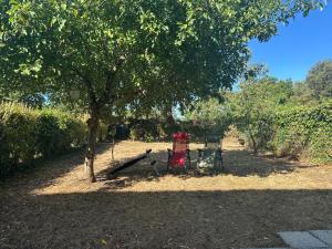 a tree and two chairs under a tree at Maison de Corinne in Sarzeau