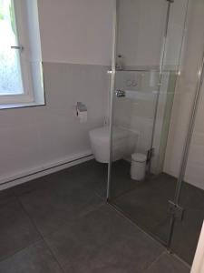 a bathroom with a shower and a toilet at Zimmer im Oldenburger Dobbenviertel in Oldenburg