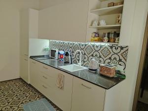 a kitchen with a counter and a sink in it at Sa Domo e tzia Caterina in Orgosolo