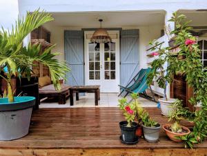 a porch with a bunch of potted plants at Sur L'Anse in Terre-de-Haut