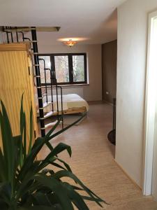 a bedroom with a bunk bed and a potted plant at Haus Rothenberg - Wohnung Su in Nohfelden