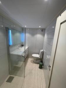 a bathroom with a toilet and a sink and a shower at The Hidden Gem in Ålesund +30 photos