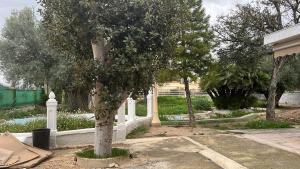 a tree in a yard next to a white fence at Nirvana camp in Matola +3 photos