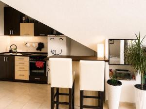 Kuhinja ili čajna kuhinja u objektu Central Loft