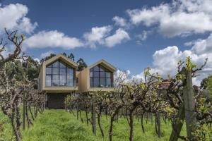 a house in a vineyard with trees at Casa Valxisto in Penafiel