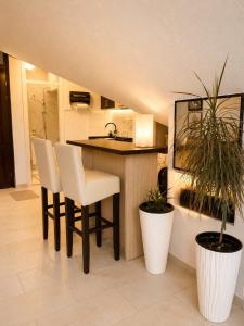 Kuhinja ili čajna kuhinja u objektu Central Loft Još 10 fotografija