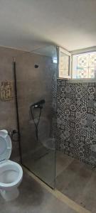 a bathroom with a shower and a toilet at Dar HJAIJA in Hammamet