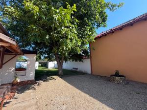 a house with a tree next to a building at La umbra nucului bătrân in Ghimbav