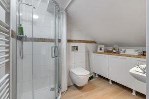a bathroom with a shower and a toilet and a sink at Apartmán TICHO - Ostrůvek in Lesná