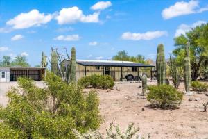 a building in the desert with cactus at Cozy Desert Hideaway in Tucson