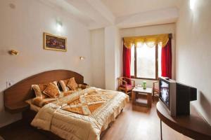 a bedroom with a large bed and a television at Tara Regency Hotel in Shimla