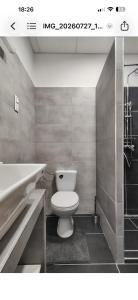 a bathroom with a toilet and a bath tub at SenoRita2 Magánszállás in Miskolc +16 photos