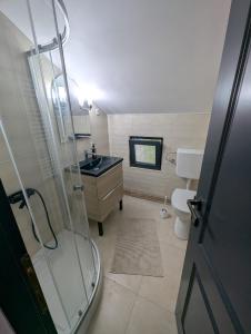 a bathroom with a shower and a sink and a toilet at Cabana Ozon in Sărmaş