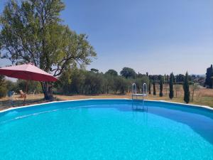 a large blue swimming pool with an umbrella and trees at Casa Ezio Marchi in Bettolle