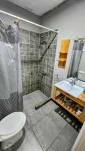 a bathroom with a shower and a toilet and a sink at Lo de Luis Departamentos in San Rafael +8 photos