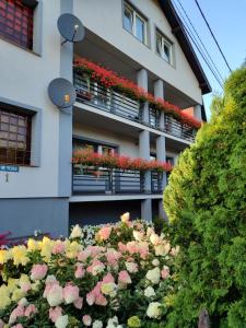 a building with flowers in front of it at Martina in Stegna