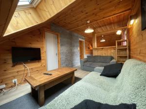 a living room with a couch and a tv at Appartement le bouc in Albepierre-Bredons