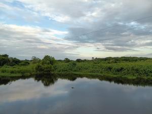 a view of a river from a train at Pousada Aquarela de Itaunas in Conceição da Barra