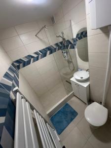 a bathroom with a toilet and a shower and a sink at MiLu Apartman in Győr
