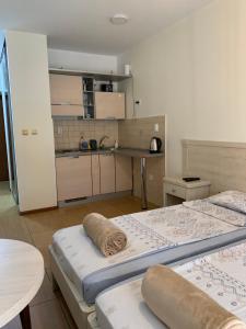 a small kitchen with two beds in a room at Apartments Amber House in Topla