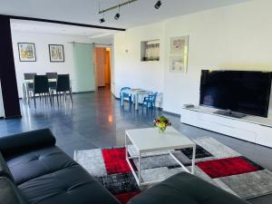 a living room with a couch and a tv and a table at Blick ins Grüne in Daisendorf