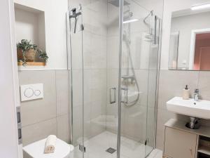 a bathroom with a shower and a sink at Ferienwohnung Seeperle am Dümmer See in Lembruch