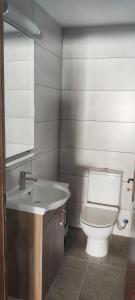 a bathroom with a toilet and a sink at PetroLithos Traditional Suites in Agros +18 photos