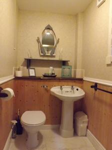 a bathroom with a sink and a toilet and a mirror at Small cosy bothy in Dingwall +13 photos