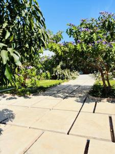 ein Steinweg mit Bäumen an der Seite in der Unterkunft Bougainvillea House in Mwaja + 1 Foto