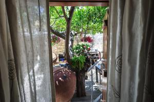 an open door to a patio with a tree at Arhontiko Frangos in Kato Drys +108 photos