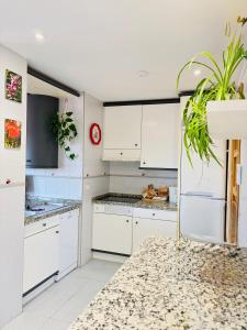 a kitchen with white cabinets and a potted plant at Piso céntrico y luminoso in León