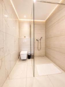 a bathroom with a shower and a toilet at Apartma 47 in Kobarid