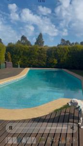 a swimming pool with blue water in a yard at Casa Monita in El Quisco