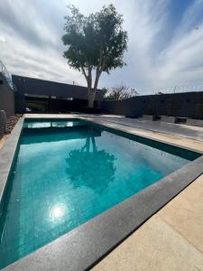a swimming pool with blue water and a tree at Alefhouse in Bauru +6 photos