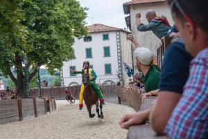 Eine Person, die auf einem Pferd auf einem Jahrmarkt reitet in der Unterkunft Nerucci 3 in Castel del Piano