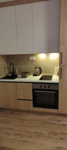 a kitchen with a stove and a sink in it at Emperus Taša spa apartman in Veliko Gradište