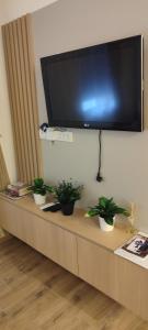 a tv on a wall with three potted plants on a table at Emperus Taša spa apartman in Veliko Gradište