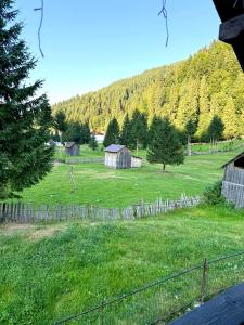 a field of grass with a fence and a hill at Casa hoinarului in Borca +6 photos