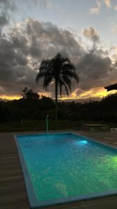 a large swimming pool with a palm tree in the background at Cabanas Belvedere in Lauro Müller +12 photos