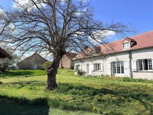 a tree in a yard in front of a house at Gite d'Aimelles in Billezois