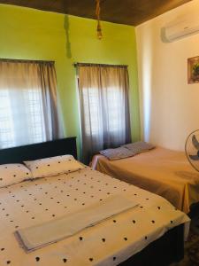 two beds in a room with green walls and windows at Trio Mango Stay in Arugam Bay