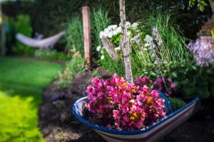 una olla de flores de colores en un jardín en Villa Mare Apartamenty, en Grzybowo